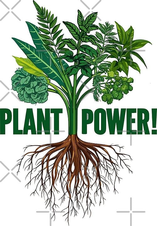 Plant Power Healthy Greens And Roots Eco Design